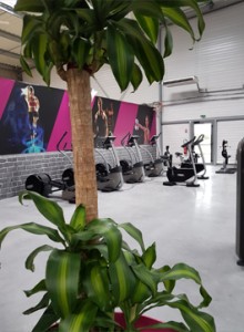 cardio-nantes-la-haie-fouassiere-salle-de-fitness                               